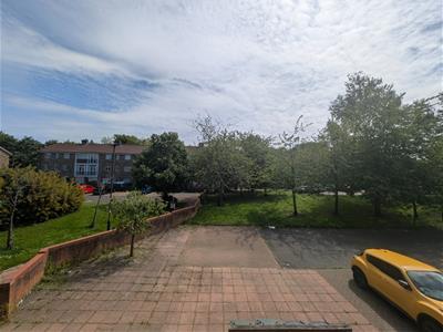 Picture 19